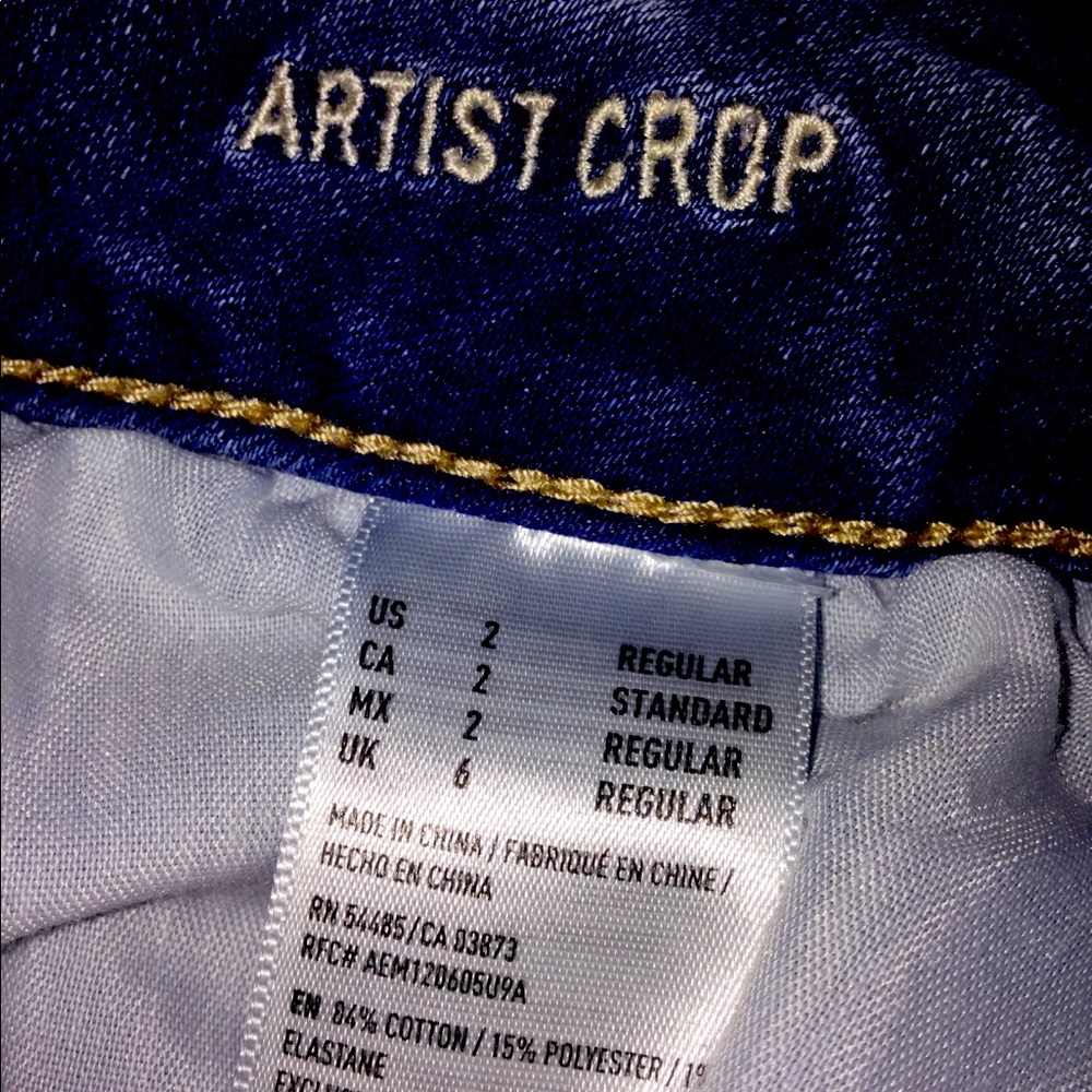 AE artist crop jeans
